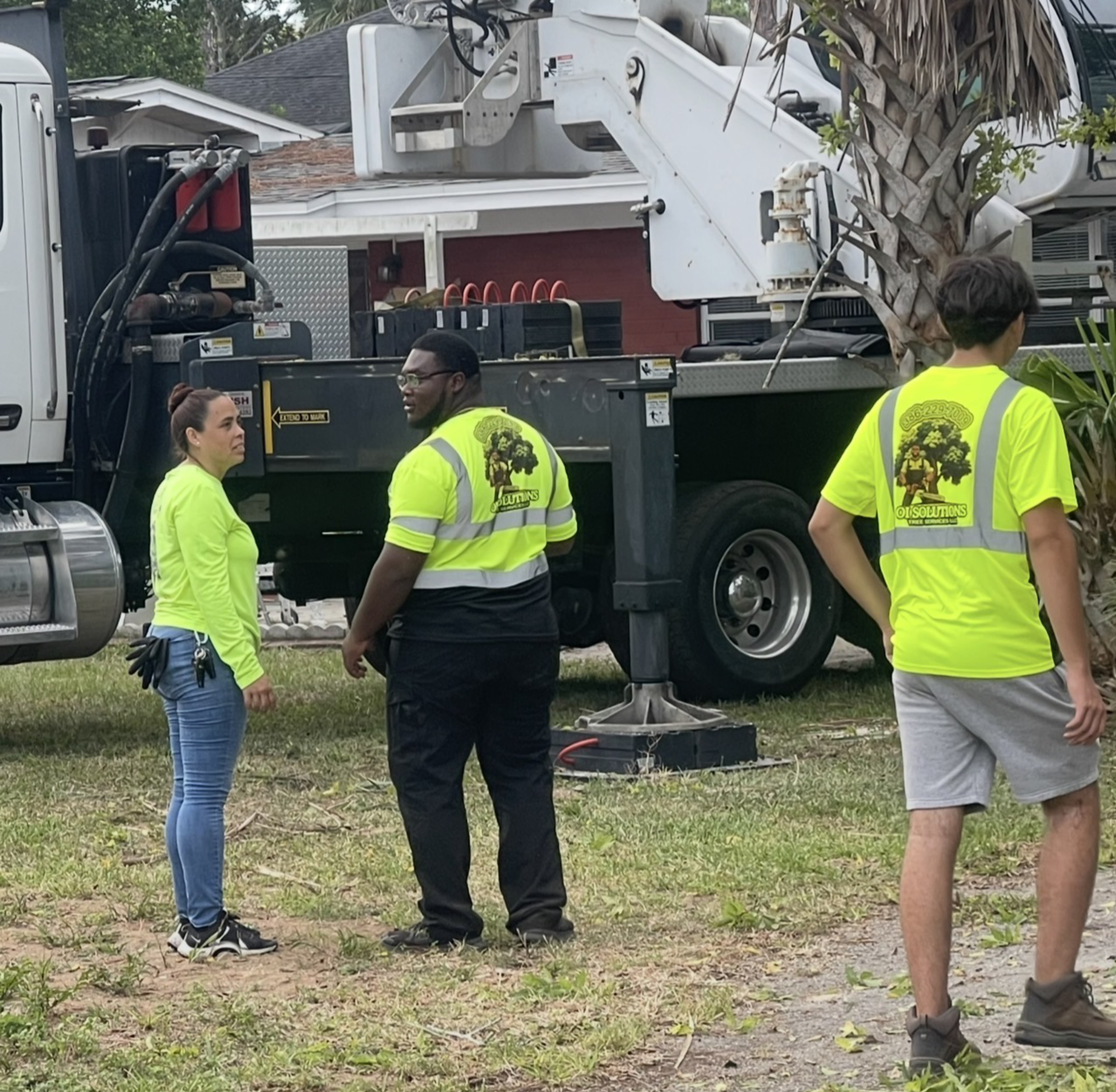 Tree Service Volusia County FL
